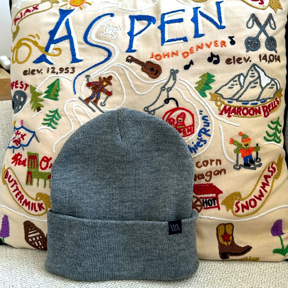 HAT NWT Gray Knit Beanie unisex